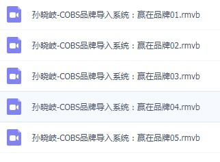 孙晓岐全集胜在整合赢在品牌专业销售电话行销视频讲座培训课程