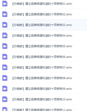 孙晓岐全集胜在整合赢在品牌专业销售电话行销视频讲座培训课程
