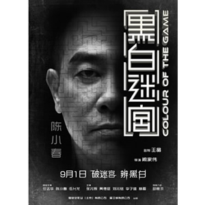 黑白迷宫--电影--中国--动作,犯罪,悬疑--高清