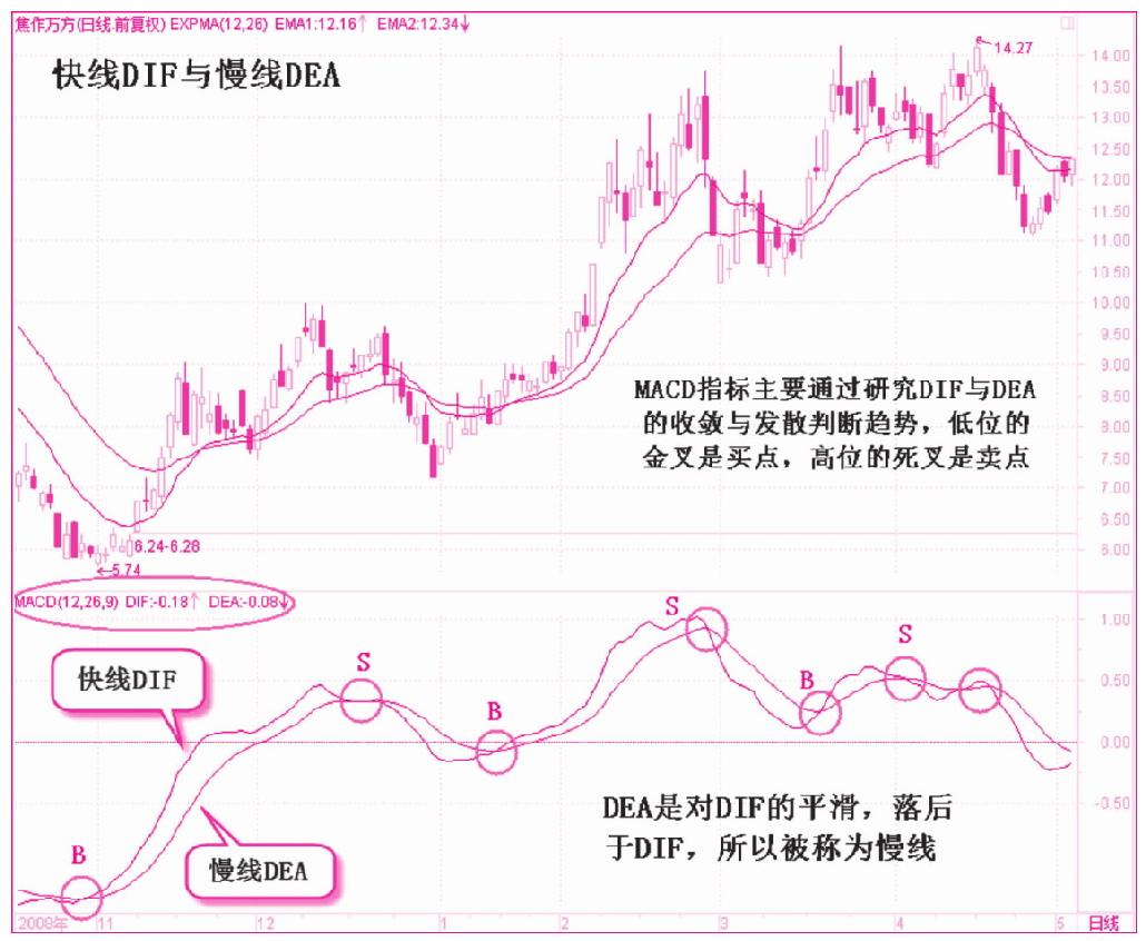 第五节　DEA慢线