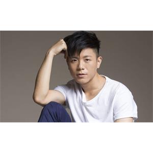 韦礼安21张专辑MP3歌曲合集[MP3/850.67MB]百度云网盘下载