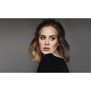 阿黛尔Adele歌曲合集25张专辑[FLAC/WAV/M4A/MP3/17.50GB]音乐百度云网盘下载