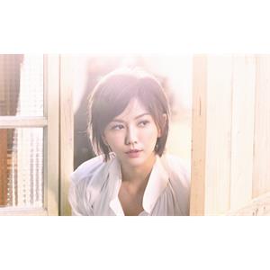 孙燕姿20张专辑/单曲(2000-2020)歌曲合集[FLAC/MP3/9.06GB]百度云网盘下载