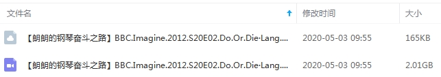 BBC纪录片《朗朗的钢琴奋斗之路》高清英语外挂中字[MKV/2.01GB]百度云网盘下载