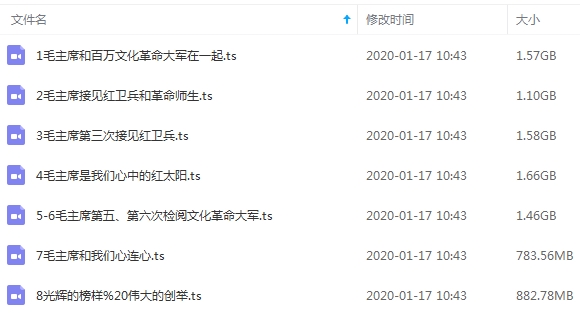 纪录片《毛泽东八次接见红卫兵(1966)》全8集国语无字[TS/9.00GB]百度云网盘下载
