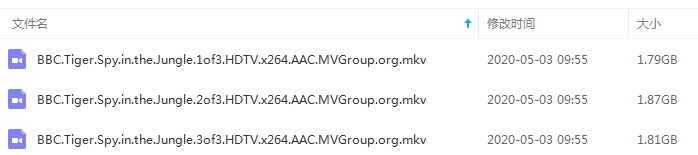 BBC纪录片《虎：丛林中窥探》全三集英语中字[MKV/5.47GB]百度云网盘下载