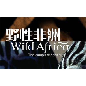 BBC纪录片《野性非洲》6部合集英语中字[AVI/4.09GB]百度云网盘下载