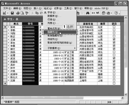 图2-98 隐藏列