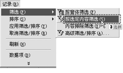 图2-117 按选定内容筛选