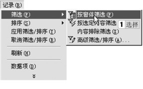 图2-119 “按窗体筛选”命令