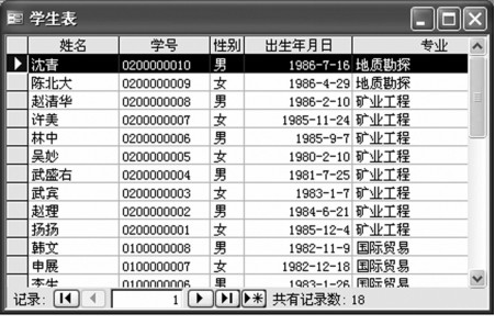 图4-10 “数据表”视图