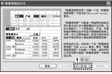 图4-23 “数据透视表向导”对话框1