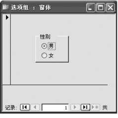 图4-65 选项组窗体视图