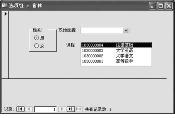 图4-76 选项组窗体视图