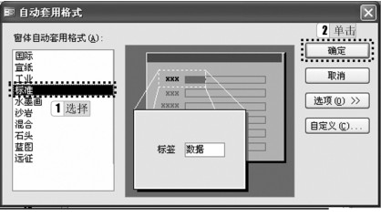 图4-99 “自动套用格式”窗口