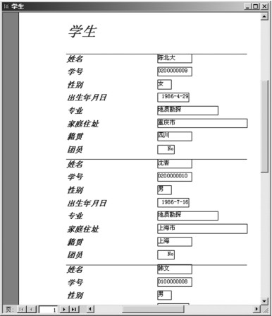 图5-11 生成的报表