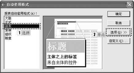 图5-42 “自动套用格式”对话框