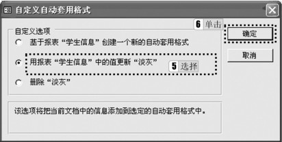 图5-44 “自定义自动套用格式”对话框