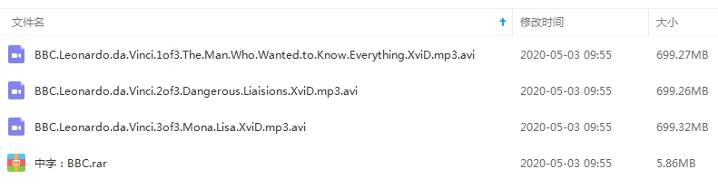 BBC纪录片《达芬奇》视频3集英语外挂中字[AVI/2.05]百度云网盘下载