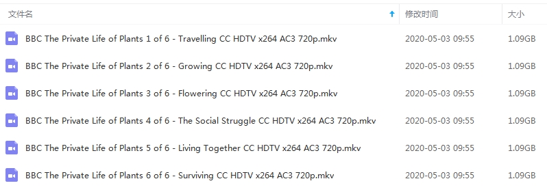 BBC纪录片《植物私生活》全6集高清英语中字合集[MKV/6.55GB]百度云网盘下载