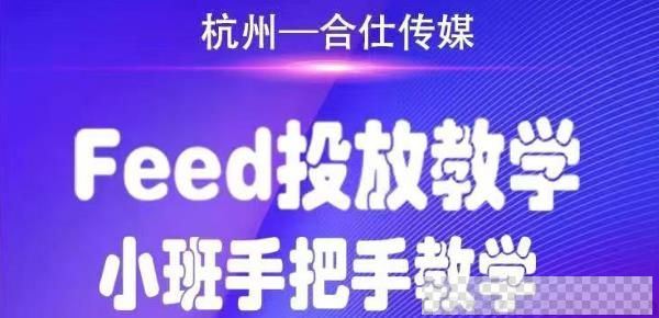 合仕传媒《Feed投放教学》小班手把手教学视频[MP4/3.92GB]百度云网盘下载