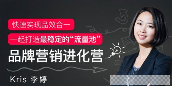 李婷-快速实现品效合一课程《品牌营销进化营》视频[MP4/1.31GB]百度云网盘下载