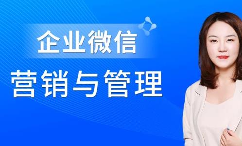 《企业微信·营销管理实操全攻略》[视频MP4+课件PDF]百度云网盘下载