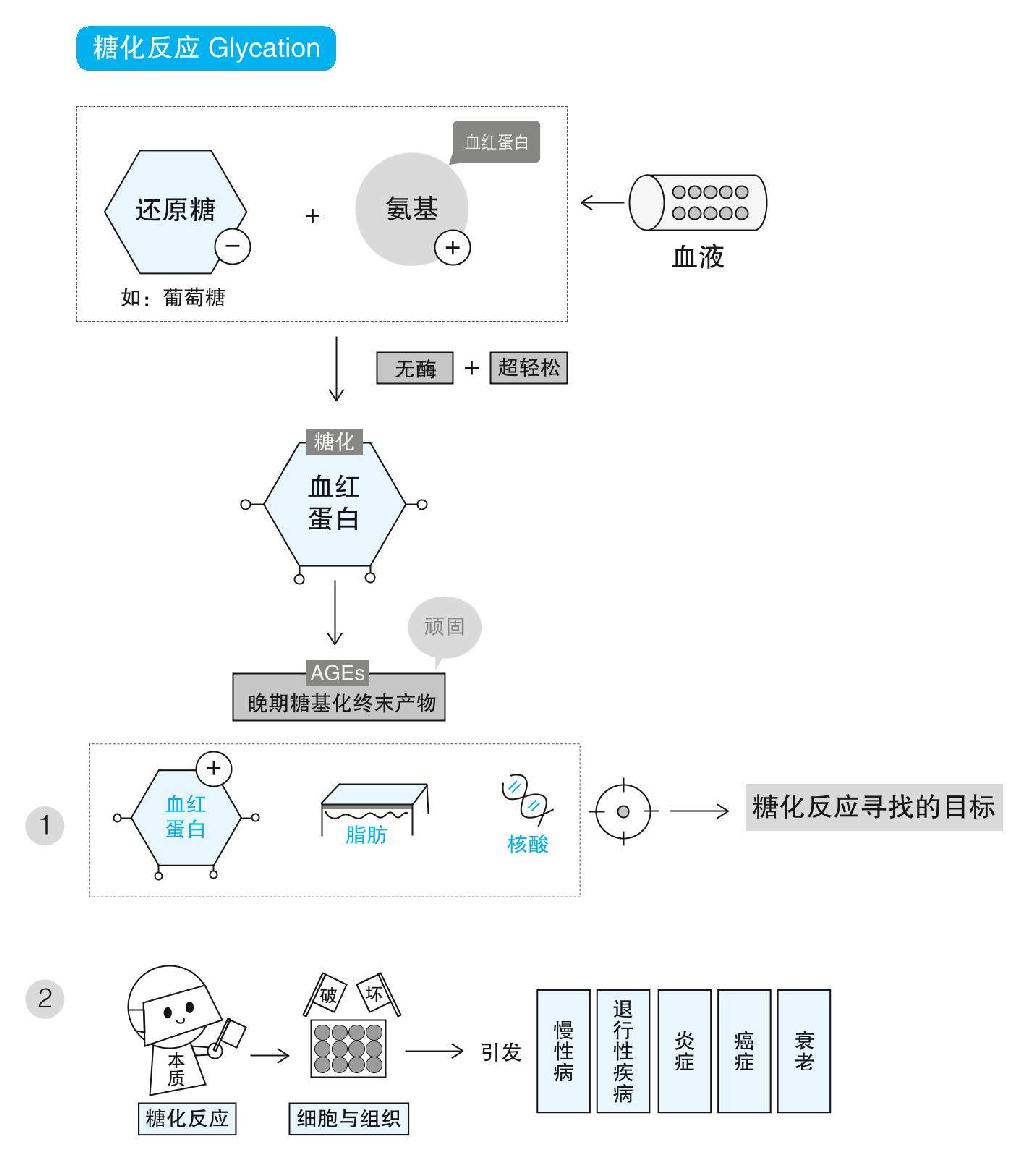 戒糖系列之戒糖到底戒什么？ - 知乎