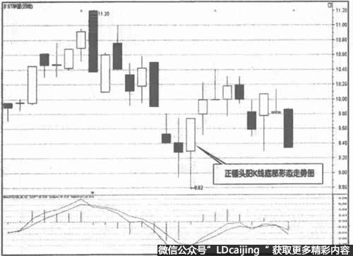 000509 ST华塑正锤头阳K线底部形态走势图