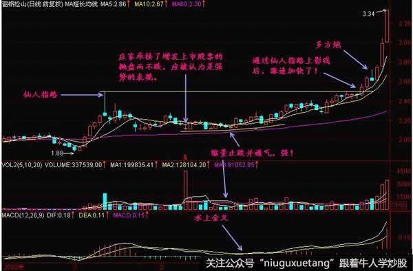 仙人指路详解