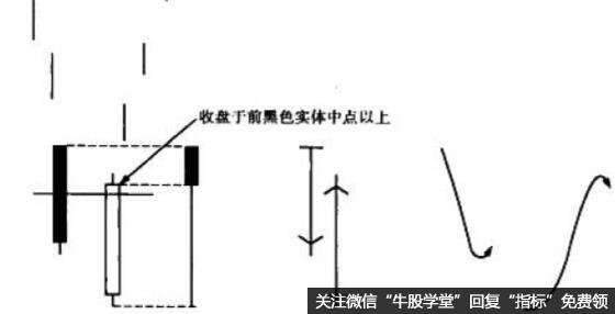 刺穿形态