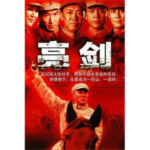 亮剑(2005)