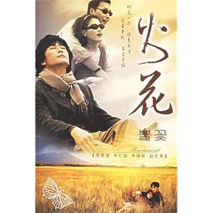 火花 불꽃(2000)