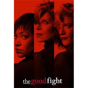 傲骨之战 第二季 The Good Fight Season 2(2018)