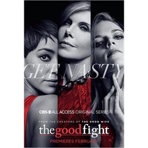 傲骨之战 第一季 The Good Fight Season 1(2017)