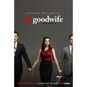 傲骨贤妻  第二季 The Good Wife Season 2(2010)
