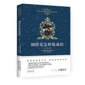 钢铁是怎样炼成的（全译本）