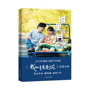 城里的月光(又名：我的青春遇见你)