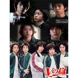 V之岚 Vの嵐(1999)
